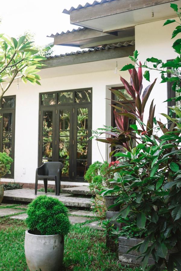 Uralsurf House Hotel Weligama Eksteriør billede