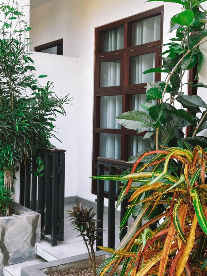 Uralsurf House Hotel Weligama Eksteriør billede