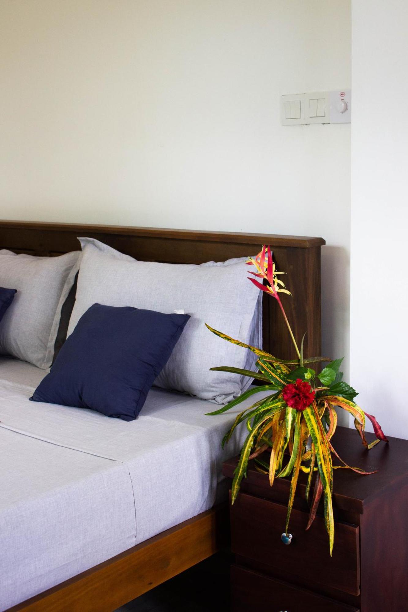 Uralsurf House Hotel Weligama Eksteriør billede